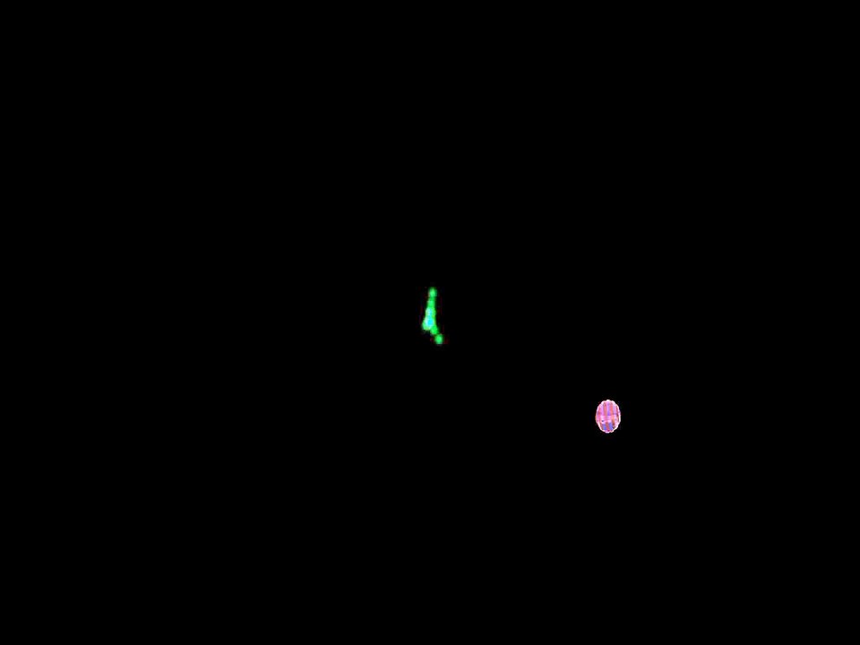 Intro - Darwin