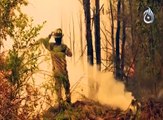 Chile forest fires, Troops join fight against worst fires in decades