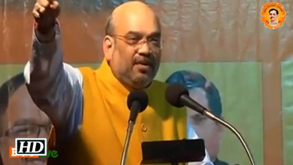 BJP will win UP polls: Amit Shah