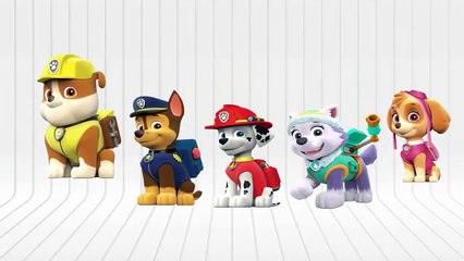 Masha and the Bear Lollipop Finger Family