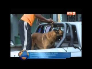 RTI Edition de 20h du JT du dimanche 28 septembre 2014