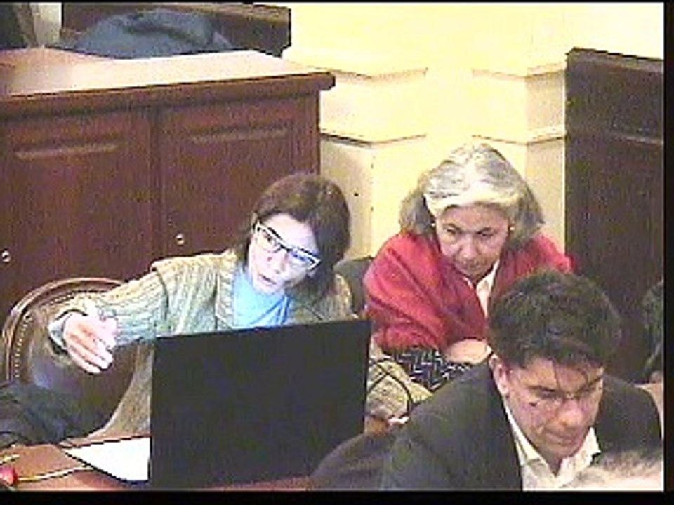 conseil janvier 2017-3