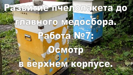 The development of bee packages. Work №7: Sightseeing in the upper body.
