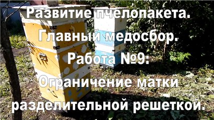 Bee packages. Work №9: Limitation of the queen in the lower body separation bars.