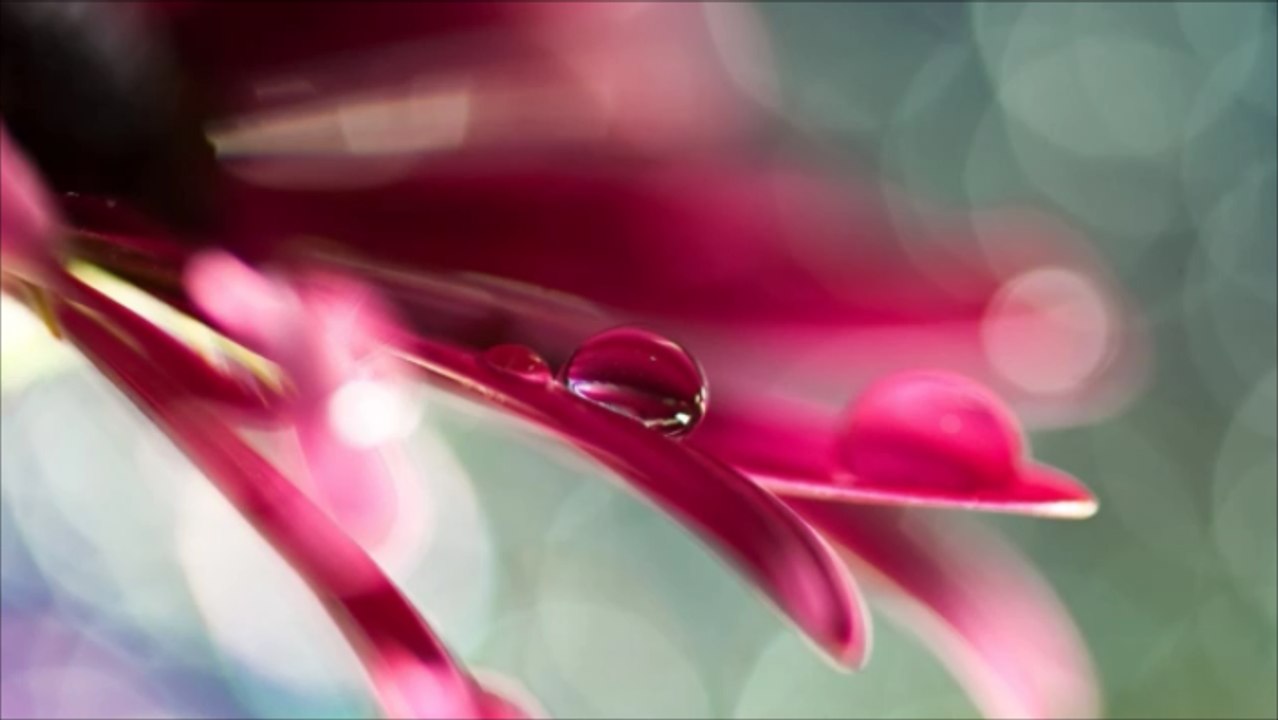 【Healing Cafe】 Mysterious Music~It's beautiful and charmed BGM （妖しく美しいミステリアスなBGM集）