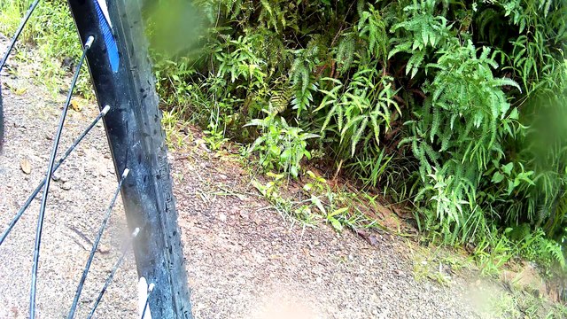 4k, 2,7k, 100 km, 32 bikers, trilhas da Serra, Pindamonhangaba, Mtb, Vamos pedalar, rumo a vida, trilhas, Mountain bike, Mtb, como pedalamos, (114)