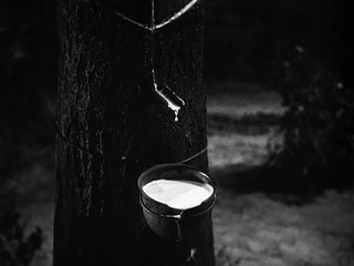 The Letter (1940) Bette Davis, William Wyler