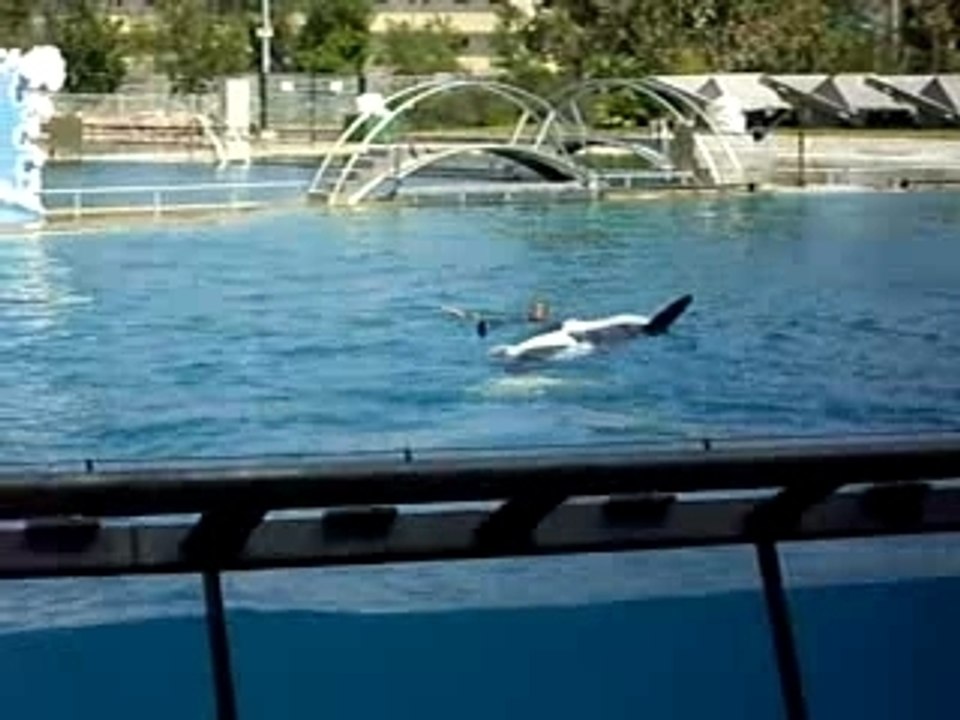 Marineland (70)