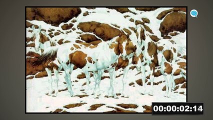 5 ILUSÃO DE ÓTICA QUE VÃO BUGAR SEU CÉREBRO