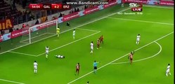 Lukas Podolski 4th Goal HD - Galatasaray 5-2 Erzincanspor- 24.01.2017