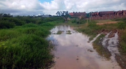 quadri Honda em gravata