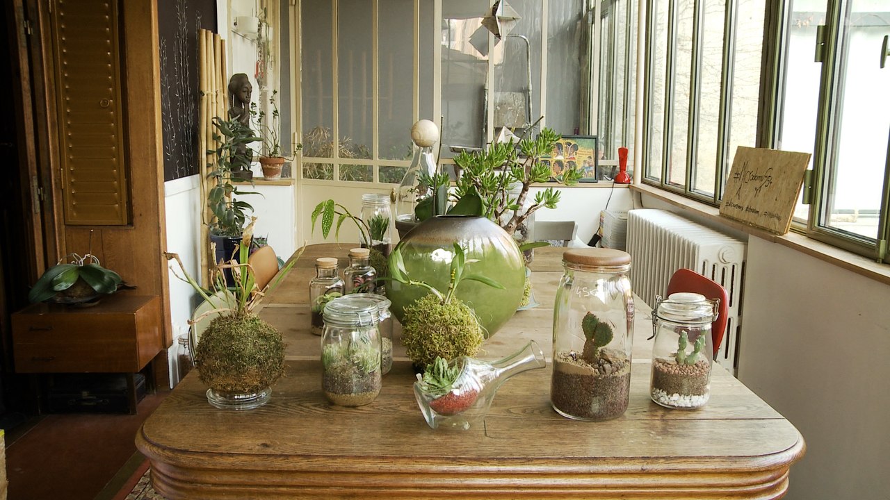 MicroDomus : Nature et Design