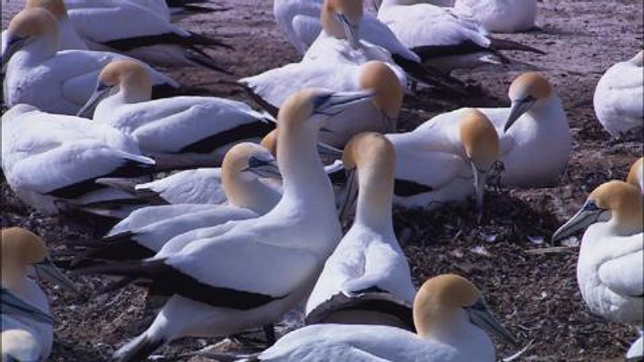 Vosges : l'auto salon en images a...