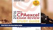 PDF  Wiley CPAexcel Exam Review 2016 Study Guide January: Auditing and Attestation (Wiley Cpa Exam