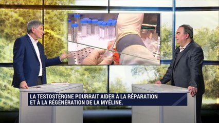 La testostérone peut-elle jouer un rôle dans la recherche sur la sclérose en plaque?