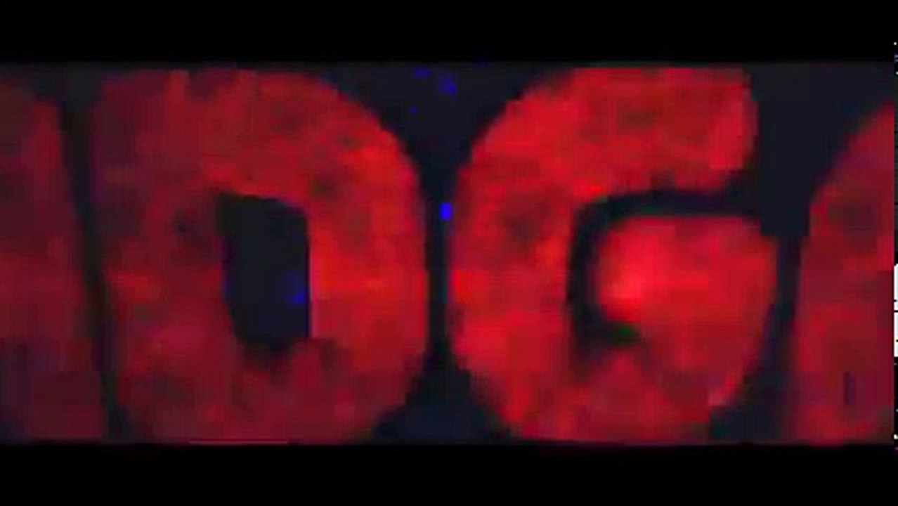 Minha Intro