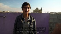 Boy cares for outlawed birds in eastern Mosul
