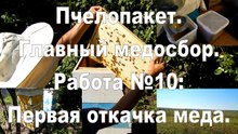 Bee packages. The main honey yield. Work №10: first pumping honey.
