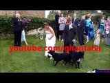 new wedding fails compilation 2017 funny indian marriage fail video whatsapp funny video