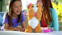 Best 12 FurReal Friends Hasbro TV Toys Full HD Commercials
