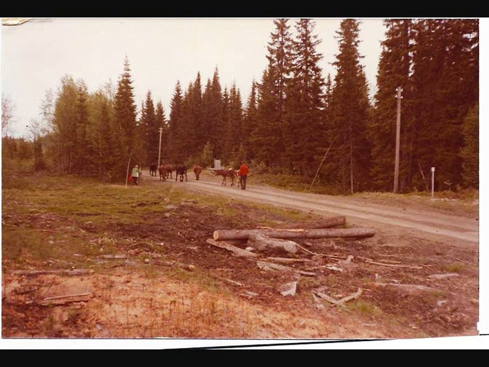 1979 Tour d'Europe et du Proche Orient  Partie 3 Norvège