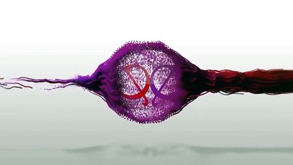 Kumkum Bhagya Full Episode 24th January 2017 Updates