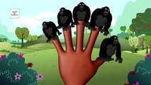 Gorilla Animal Finger Family - Finger Family Song - 3D Animation Nursery Rhymes & Songs for Children