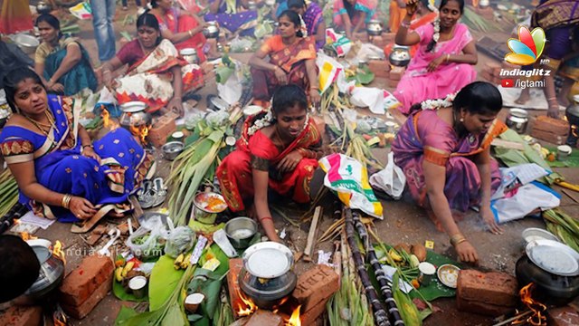 Jallikattu supporters target actress Trisha for endorsing PETA