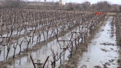 Suyla Dolan Bağlar Için "Bereket" Açıklaması