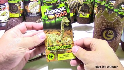 Download Video: DINOSAURS Eggs Jurassic Eggs BRACHIOSAURUS DINOSAURS Huevo de dinosaurio