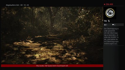 Willkommen bei meinem Stream und RE7