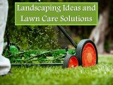 Landscaping Ideas and Lawn Care Solutions