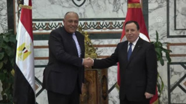 Mısır Dışişleri Bakanı Şükri - Tunus Dışişleri Bakanı El-Cihinavi Görüşmesi