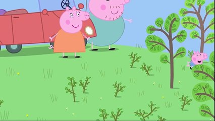 Свинка Пеппа – 1 сезон 35 серия
