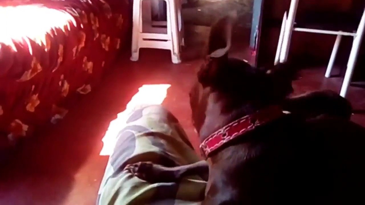 visor de led para rodas de bicicleta