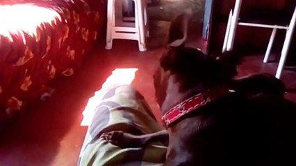 visor de led para rodas de bicicleta