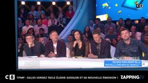 TPMP : Gilles Verdez tacle Élodie Gossuin et 