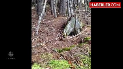 İnanılmaz Görüntü! Toprak Nefes Alıp Veriyor