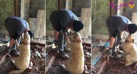 Il se fait amis avec le chien de son client !