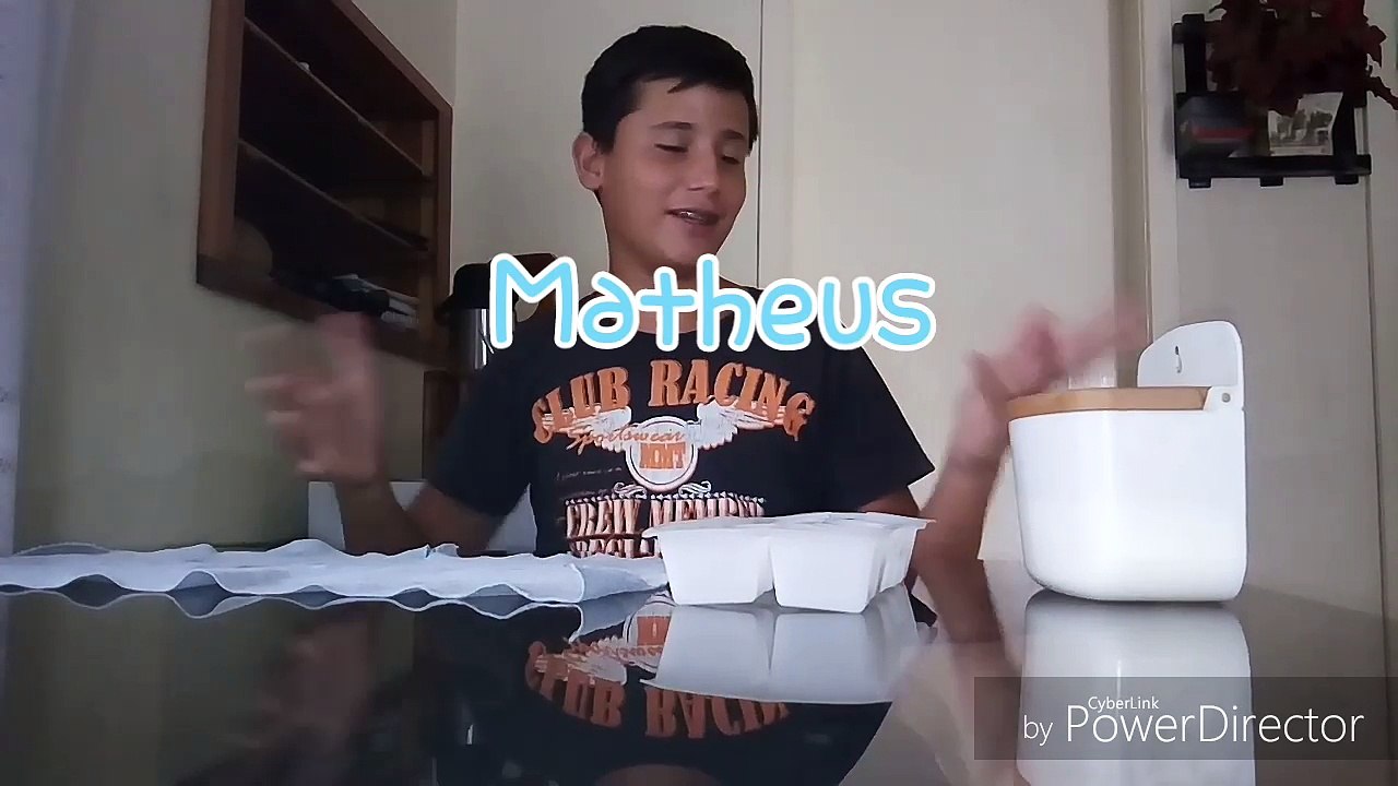 Desafio do Gelo com Sal