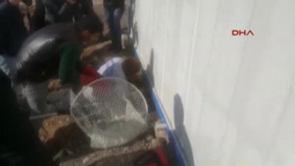 Adana Konteynır Altına Sıkışan Kediyi Belediye Ekipleri Kurtardı