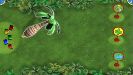 Jungle Junction - Beetlebugs Nature Trip