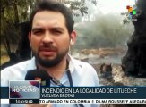 Chile: incendio forestal vuelve a brotar pese a labores de bomberos