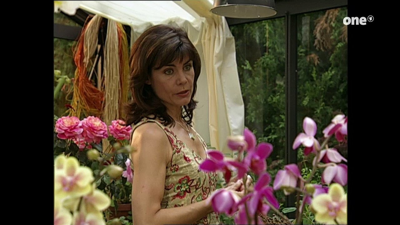 Sturm der Liebe Folge 226