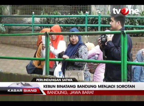 Kebun Binatang Bandung Menjadi Sorotan