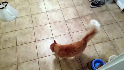 Gus knows what he wants