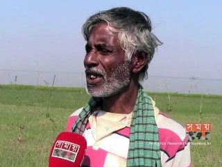 মৌলভীবাজারের হাকালুকি হাওড়ে আসছে অতিথি পাখি