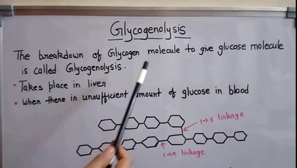 Metabolism of carbohydrates part 4