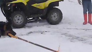 A Dog cleaning Ice