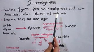 Metabolism of carbohydrates part 5